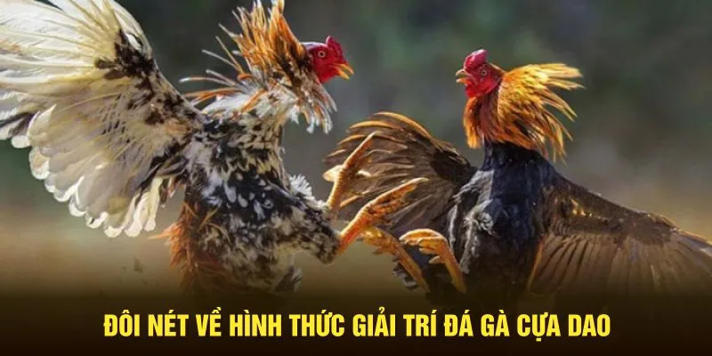 Đôi nét giới thiệu về Đá gà cựa dao từ cổng game 789win